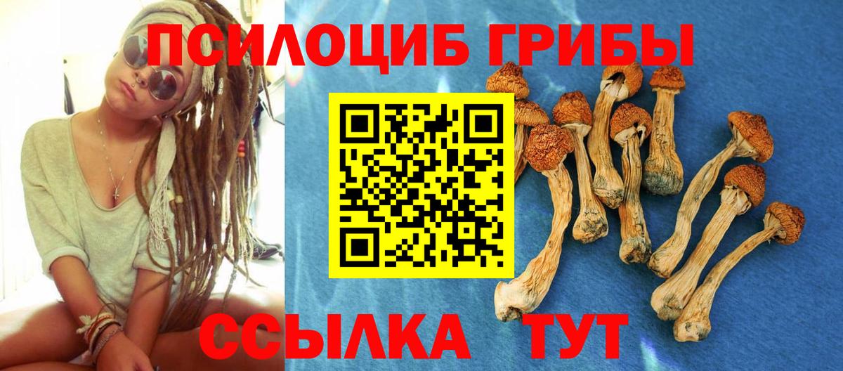 Галлюциногенные грибы Cubensis Белорецк