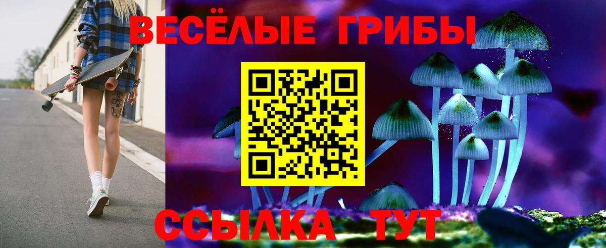 Белорецк  Псилоцибиновые грибы Psilocybine cubensis  Вход с VPN 